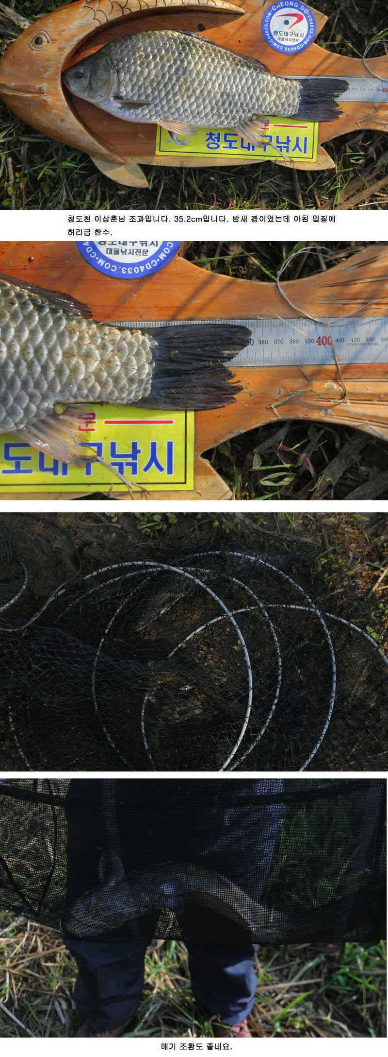 청도권 주말 조황 정보 (조황조행기 - 특파원조황)
