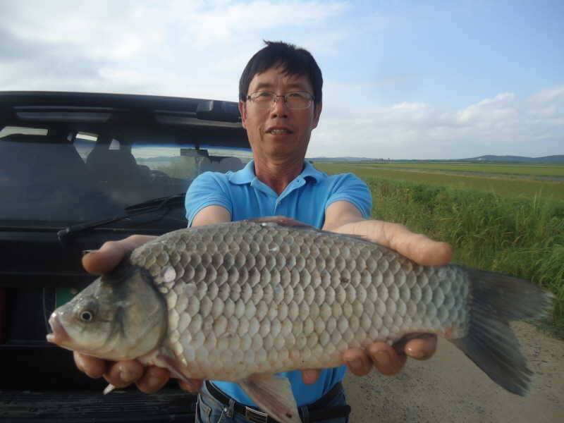 91 부남호 445cm 대물붕어 및 풍성한 마릿수 조황 (조황조행기 - 특파원조황)
