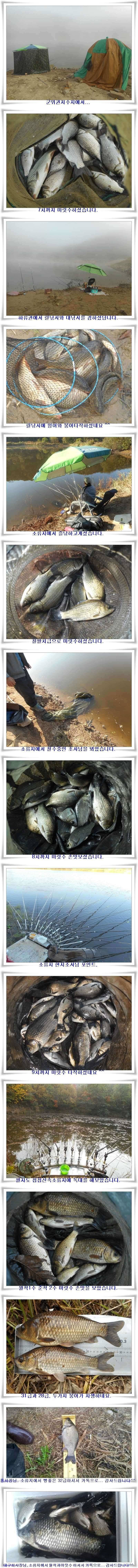 살아나는최근조황과 지난조황 (조황조행기 - 특파원조황)