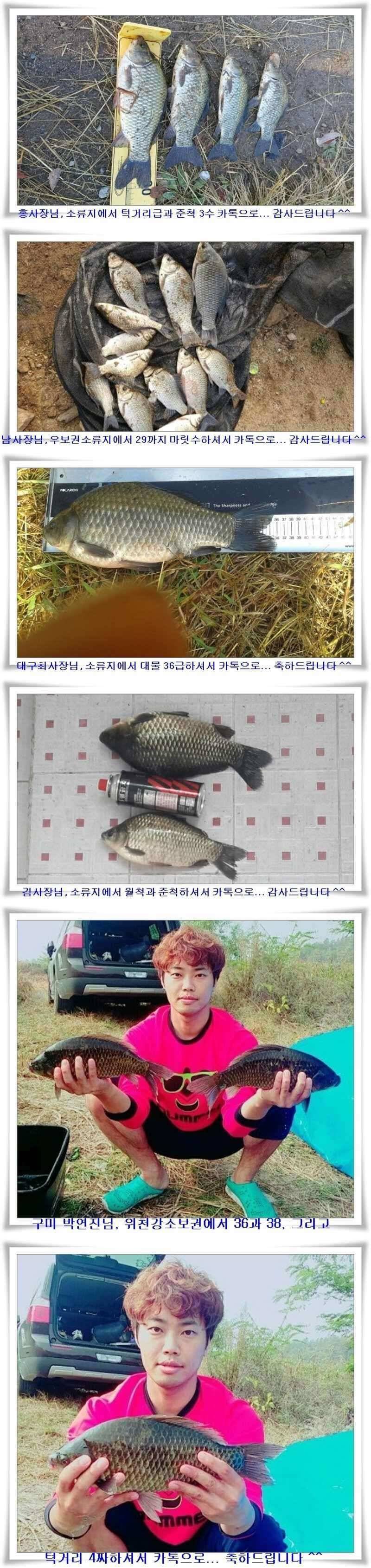 살아나는최근조황과 지난조황 (조황조행기 - 특파원조황)