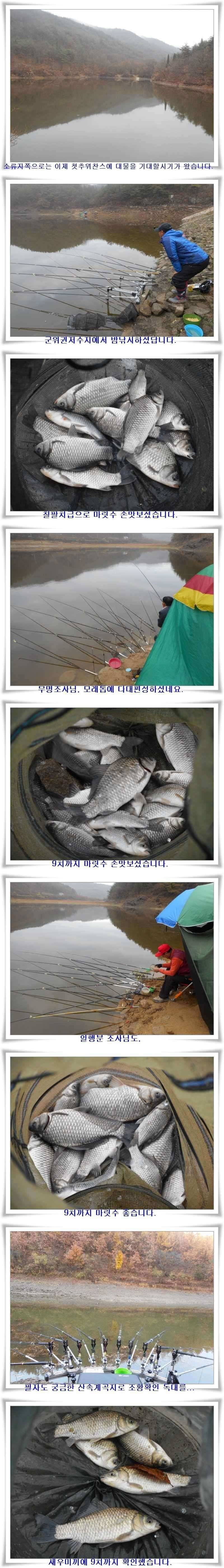 살아나는최근조황과 지난조황 (조황조행기 - 특파원조황)
