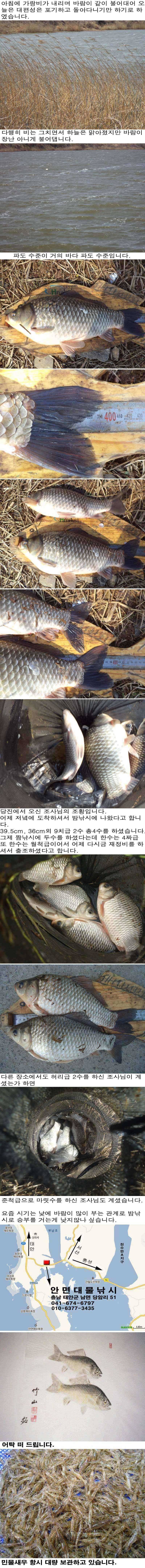 320 부남호 밤낚시의 대물붕어 조황 (조황조행기 - 특파원조황)