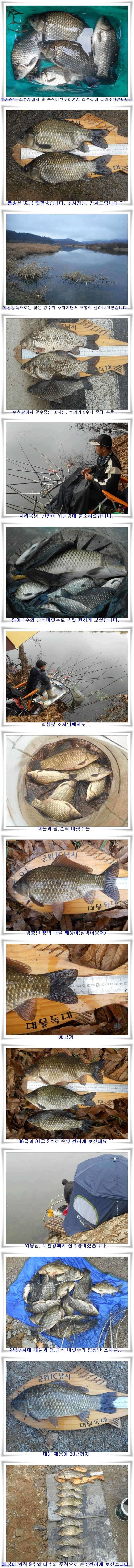 살아나는최근조황과 지난조황 (조황조행기 - 특파원조황)