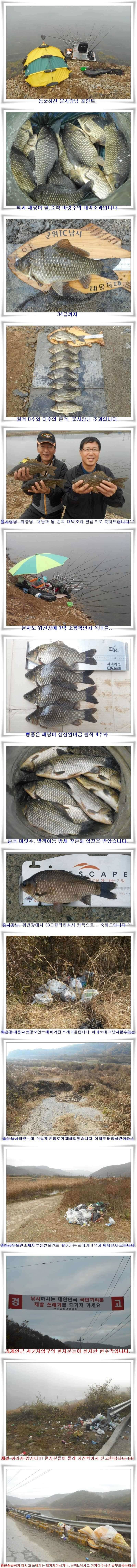 살아나는최근조황과 지난조황 (조황조행기 - 특파원조황)
