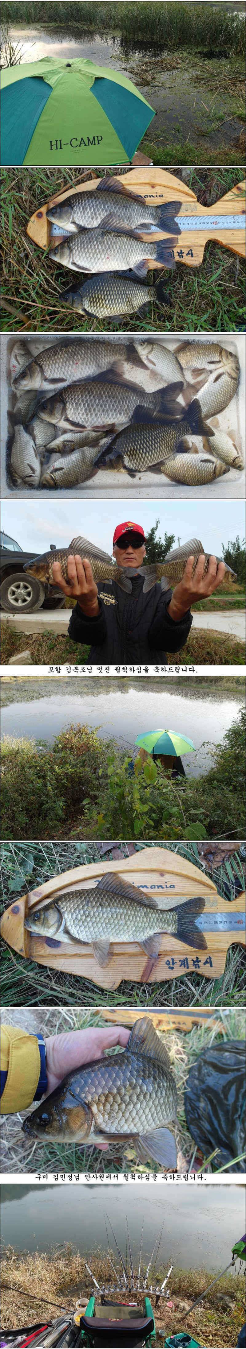 마릿수 월척에 대물 조황소식 입니다 (조황조행기 - 특파원조황)