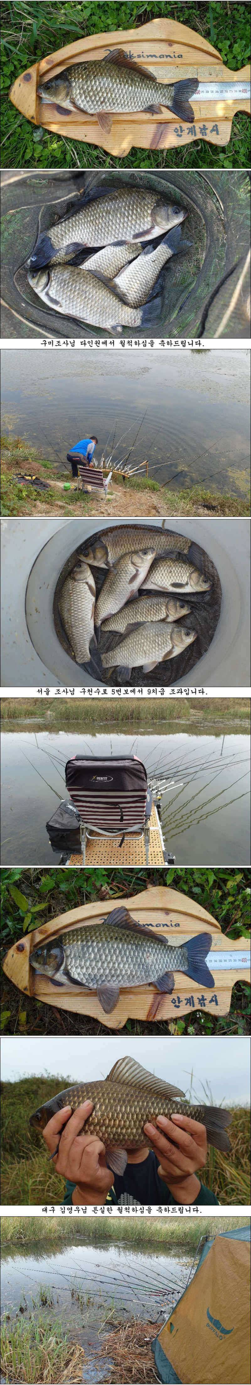 마릿수 월척에 대물 조황소식 입니다 (조황조행기 - 특파원조황)