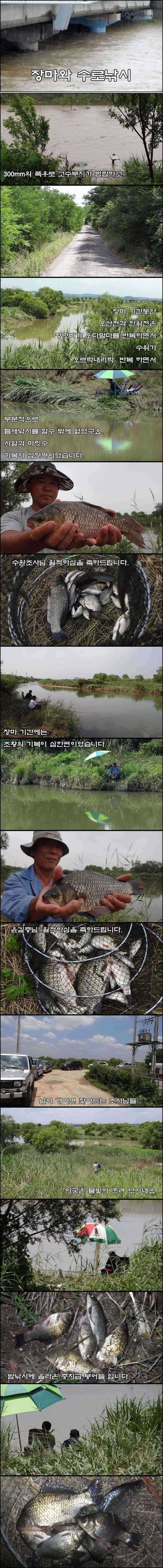 장마로 주춤거렸던 오산천과 진위천 회화리보 (조황조행기 - 특파원조황)
