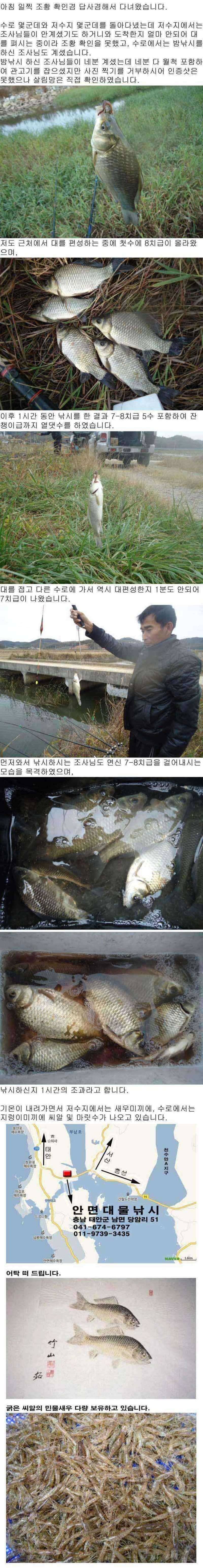 안면도권 저수지 및 수로 주중 답사 조황 안내 (조황조행기 - 특파원조황)