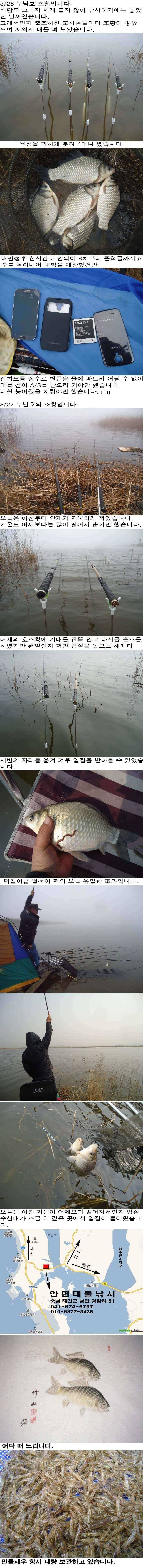 327 부남호 비싼 붕어값 치룬 조황 (조황조행기 - 특파원조황)