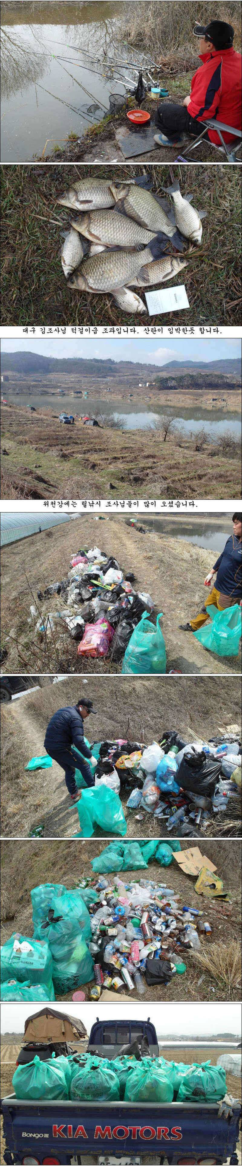 좋은날씨 멋진 봄 붕어들 (조황조행기 - 특파원조황)