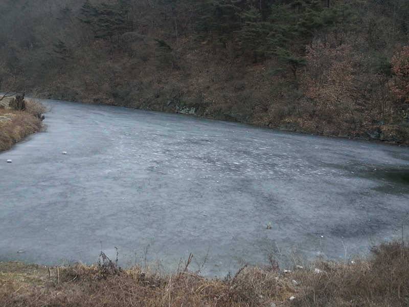 128 빙어 경산권 송림지용성지송백지 조황 (조황조행기 - 특파원조황)