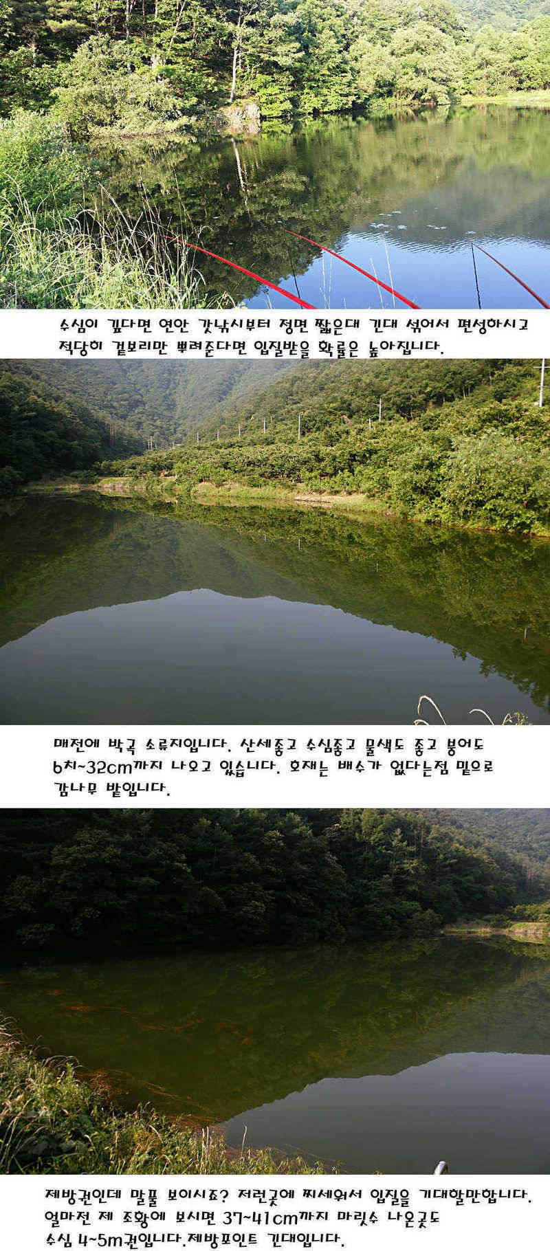 청도권 지난주 조황정보 (조황조행기 - 특파원조황)