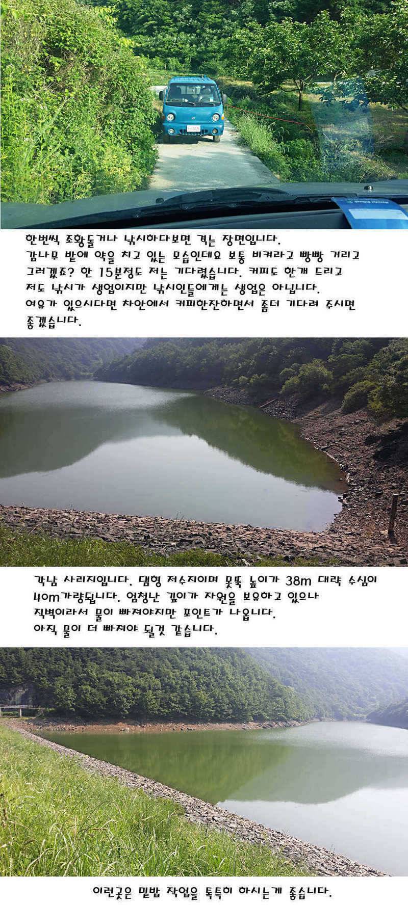 청도권 지난주 조황정보 (조황조행기 - 특파원조황)