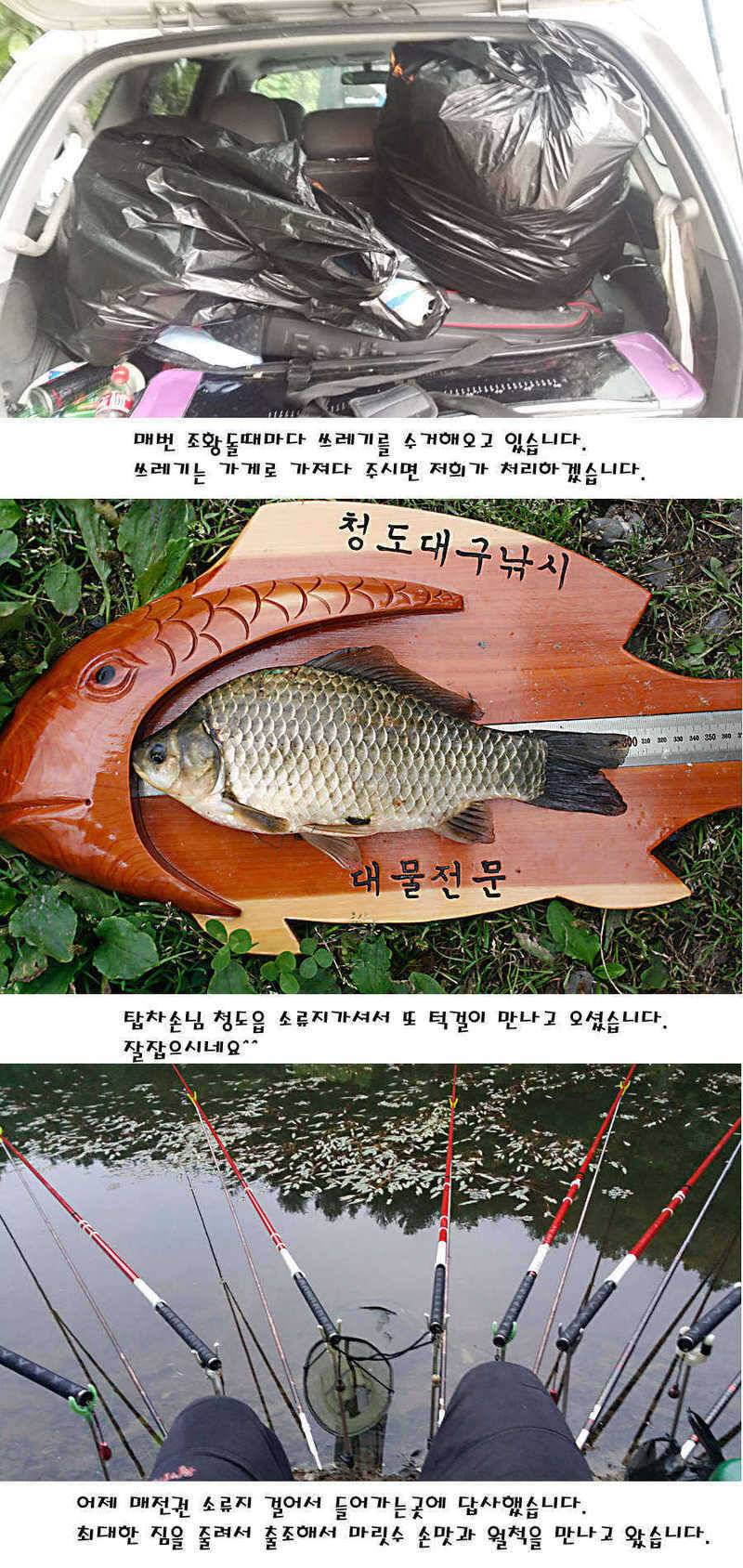 청도권 지난주 조황정보 (조황조행기 - 특파원조황)
