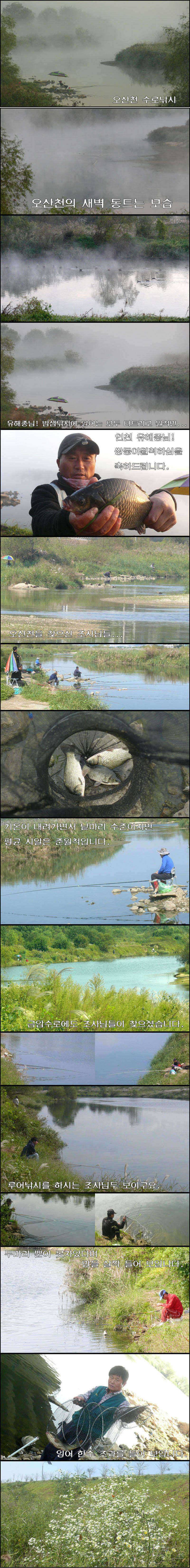 깊어가는 가을 밤낚시 (조황조행기 - 특파원조황)