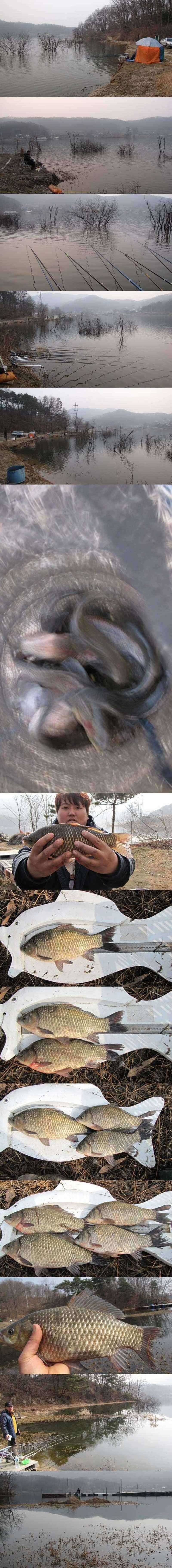 두창지 씨알좋은 붕어들 (조황조행기 - 특파원조황)