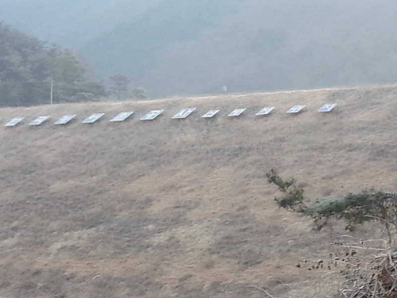 128 빙어 경산권 송림지용성지송백지 조황 (조황조행기 - 특파원조황)