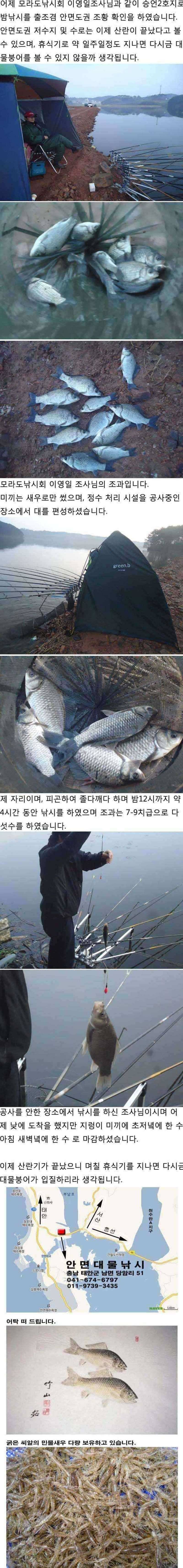 424 안면도권 저수지 및 수로 조황 안내 (조황조행기 - 특파원조황)