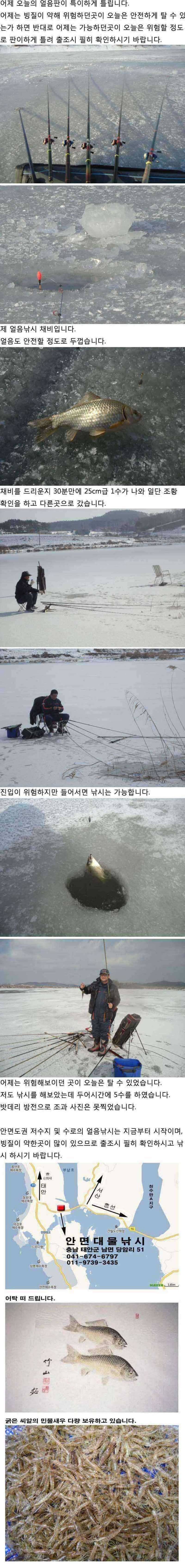 안면도권 저수지 및 수로 얼음낚시 안내 (조황조행기 - 특파원조황)