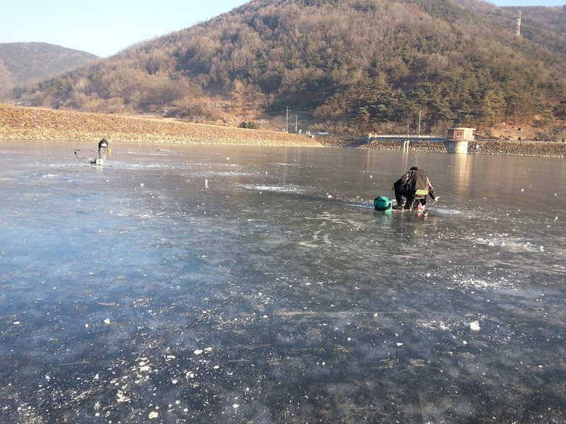 128 빙어 경산권 송림지용성지송백지 조황 (조황조행기 - 특파원조황)