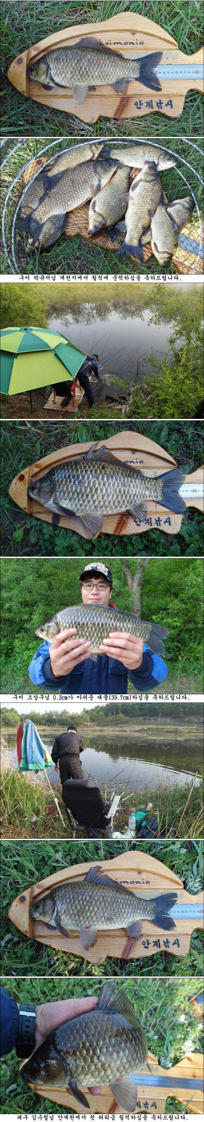 05cm가 아쉬운 대물들 및 허리급들 조황입니다 (조황조행기 - 특파원조황)
