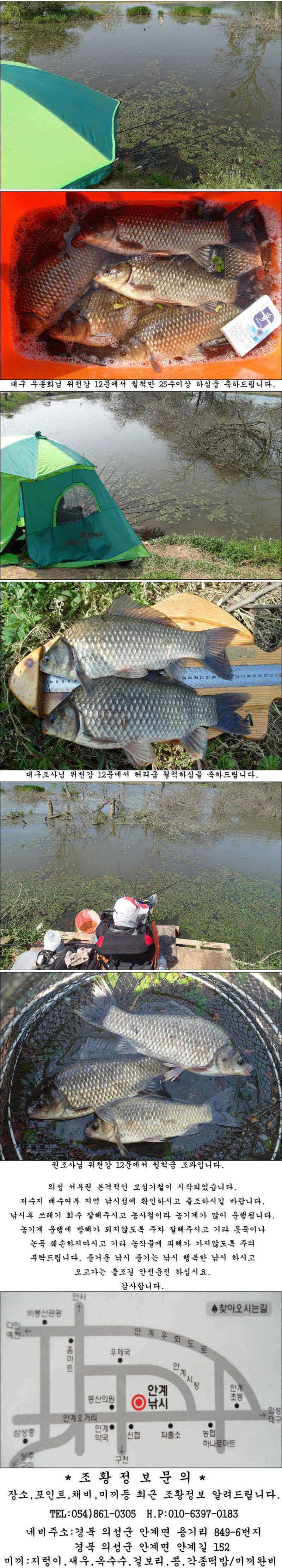 05cm가 아쉬운 대물들 및 허리급들 조황입니다 (조황조행기 - 특파원조황)