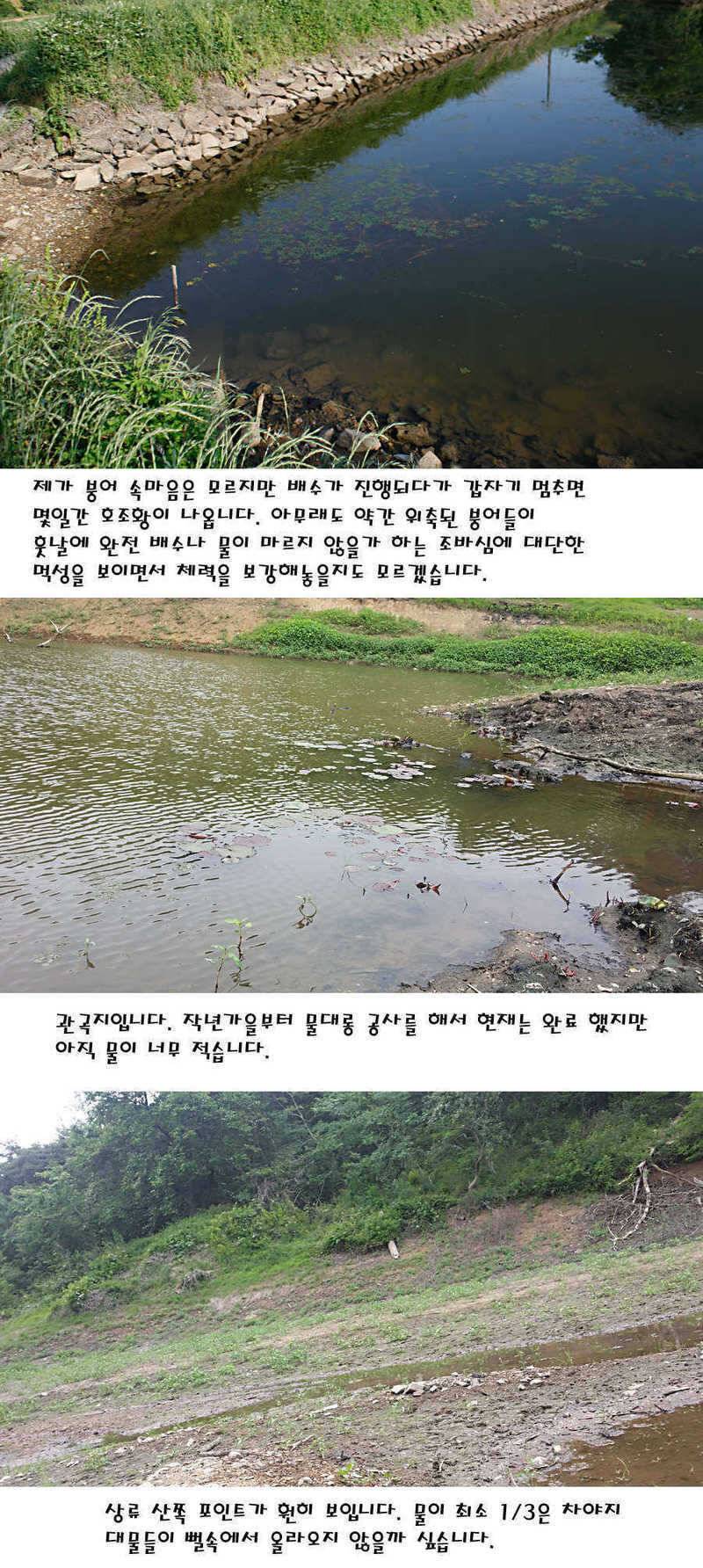 청도권 지난주 조황정보 (조황조행기 - 특파원조황)