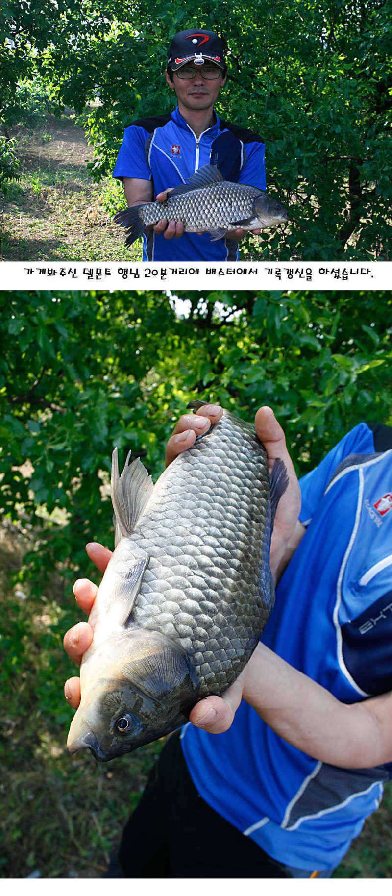 청도권 지난주 조황정보 (조황조행기 - 특파원조황)