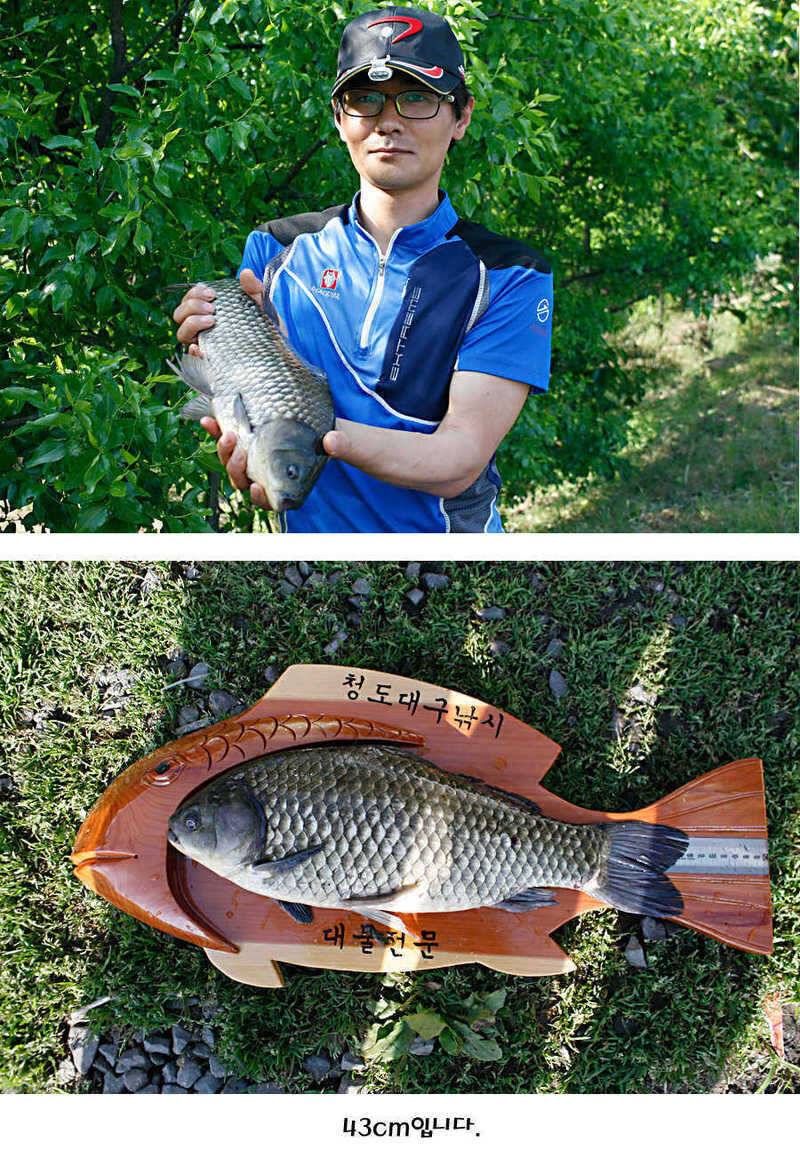 청도권 지난주 조황정보 (조황조행기 - 특파원조황)