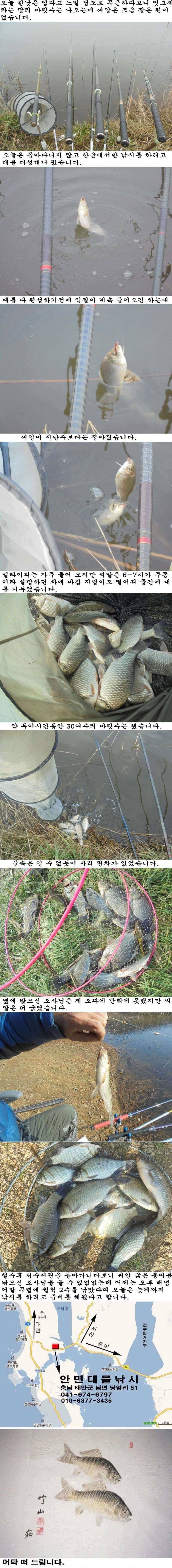 1223 안면도권 저수지 및 수로 마릿수 조황 (조황조행기 - 특파원조황)