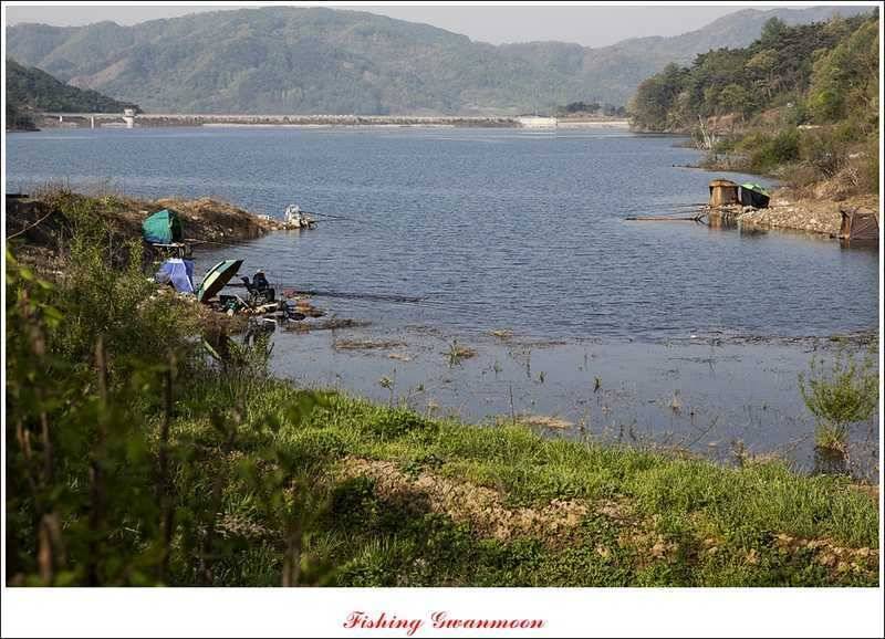 충주괴산권 조황 (조황조행기 - 특파원조황)