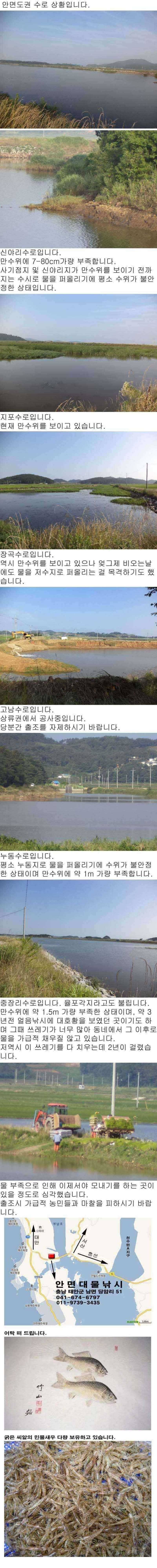 78 안면도권 저수지 및 수로 조황 안내2 (조황조행기 - 특파원조황)