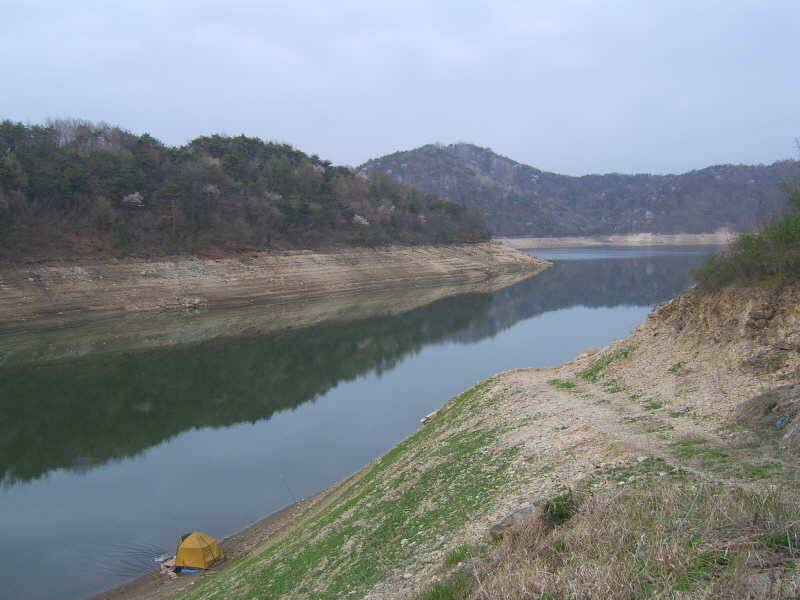 충주호 노지기지개켜는 충주호 봄 소식 (조황조행기 - 특파원조황)