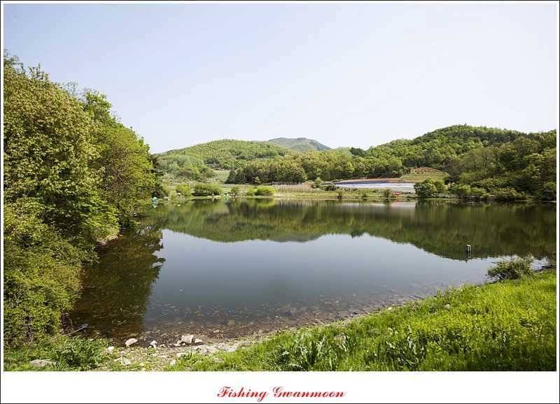 충주괴산권 조황 (조황조행기 - 특파원조황)