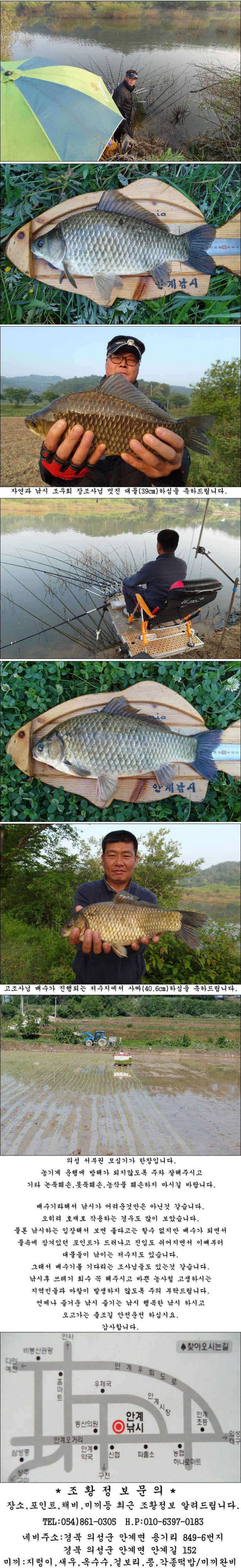 배수기에 대물406cm39cm에 허리급월척들 조황 (조황조행기 - 특파원조황)