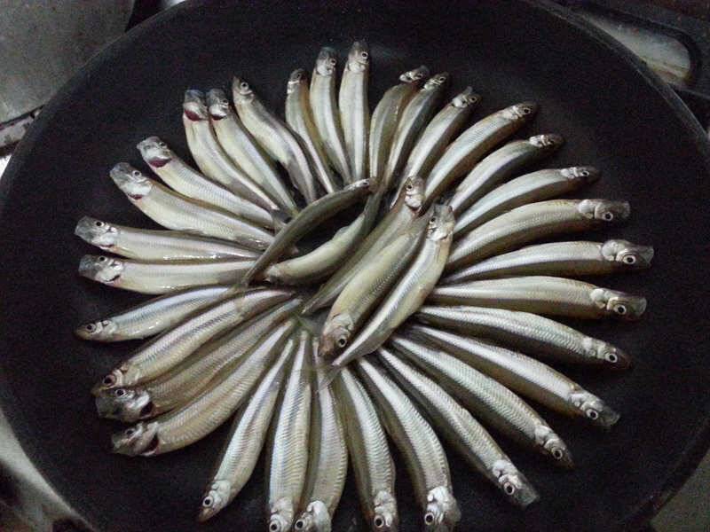 128 빙어 경산권 송림지용성지송백지 조황 (조황조행기 - 특파원조황)