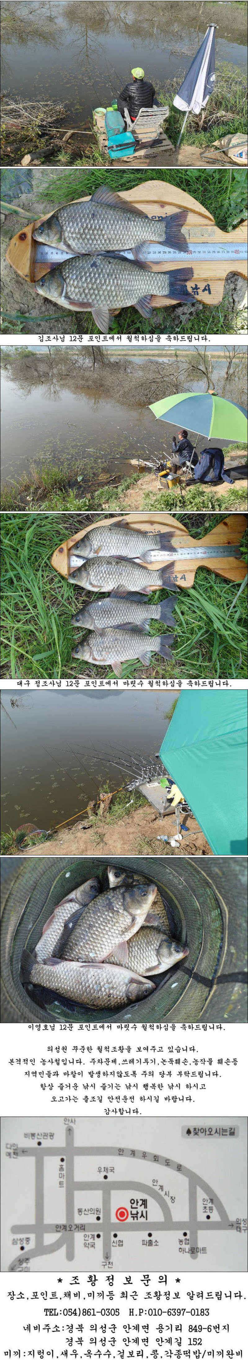 425cm와 허리급에 월척들 조황입니다 (조황조행기 - 특파원조황)