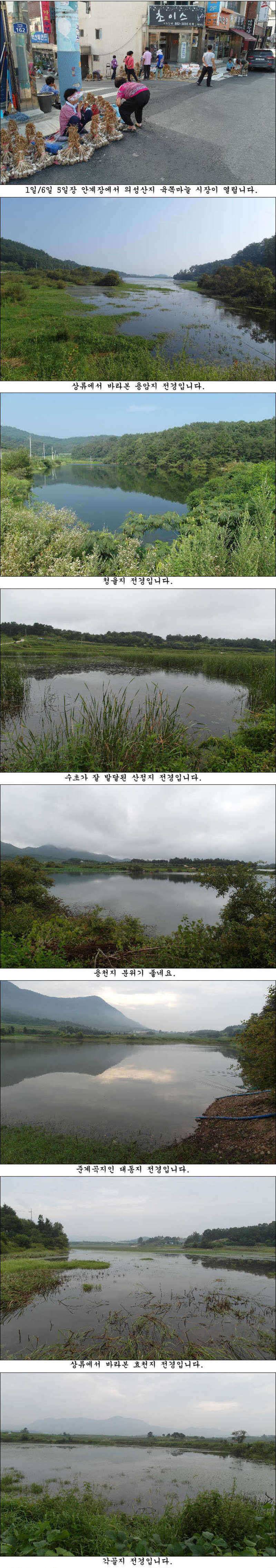 405cm398cm에 허리급 월척들 조황 (조황조행기 - 특파원조황)