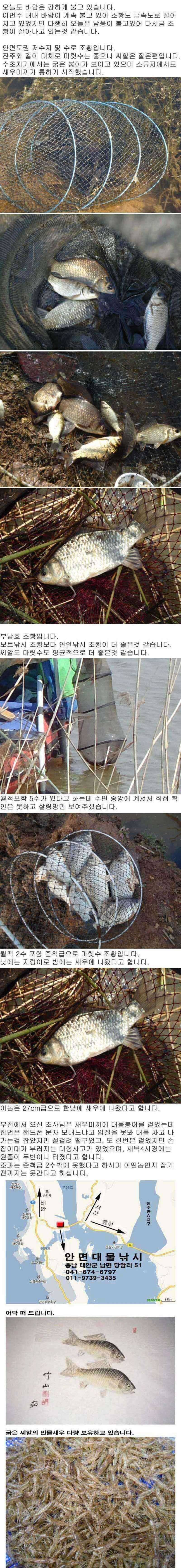 안면도권과 부남호 주중 조황 안내 (조황조행기 - 특파원조황)