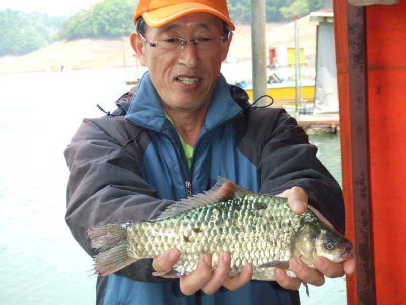충주호 문골에서 나온 월척 모습 (조황조행기 - 특파원조황)