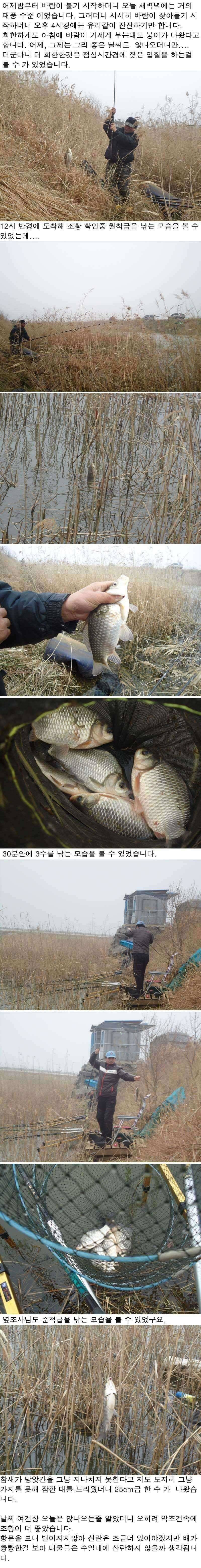 37 부남호 주중 조황 (조황조행기 - 특파원조황)