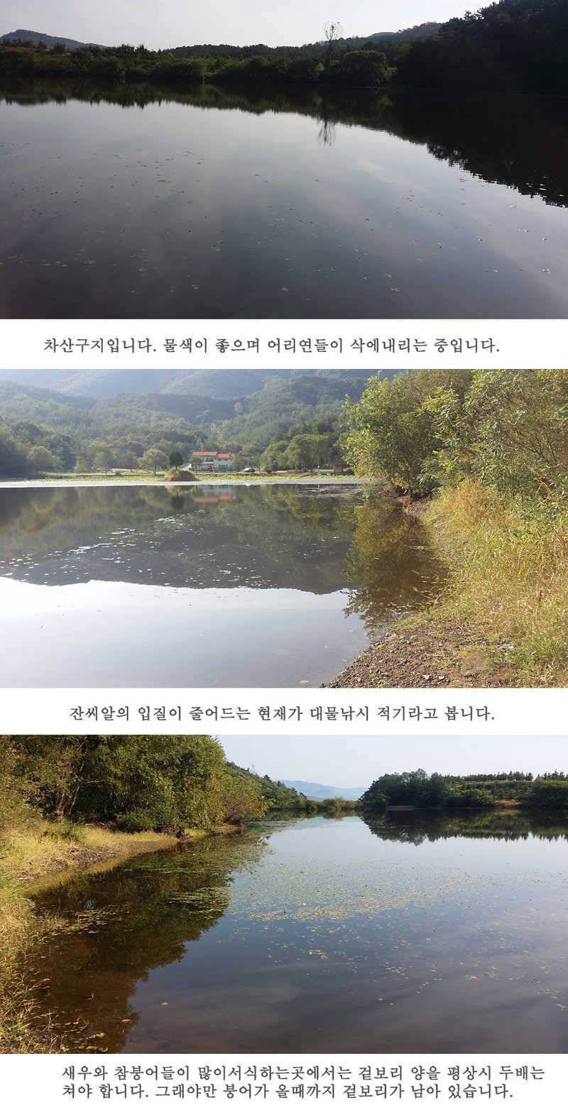 청도권 이번주 조황입니다 (조황조행기 - 특파원조황)