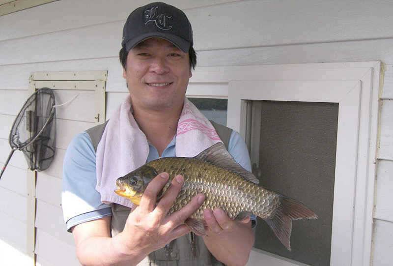 385cm 대물붕어 외 장어소식 (조황조행기 - 특파원조황)