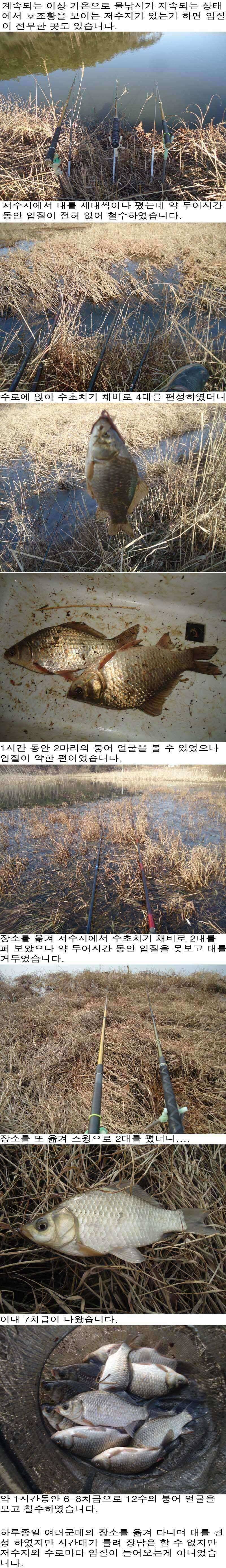 17 안면도권 저수지 및 수로 물낚시 조황 (조황조행기 - 특파원조황)