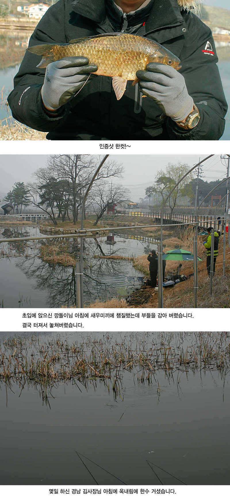 청도권 허리급 월척들이 (조황조행기 - 특파원조황)
