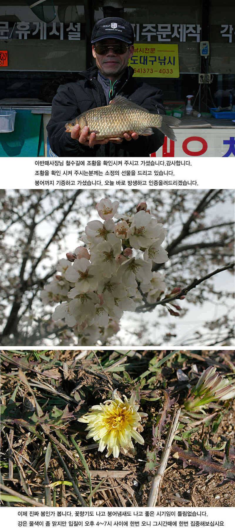 청도권 허리급 월척들이 (조황조행기 - 특파원조황)