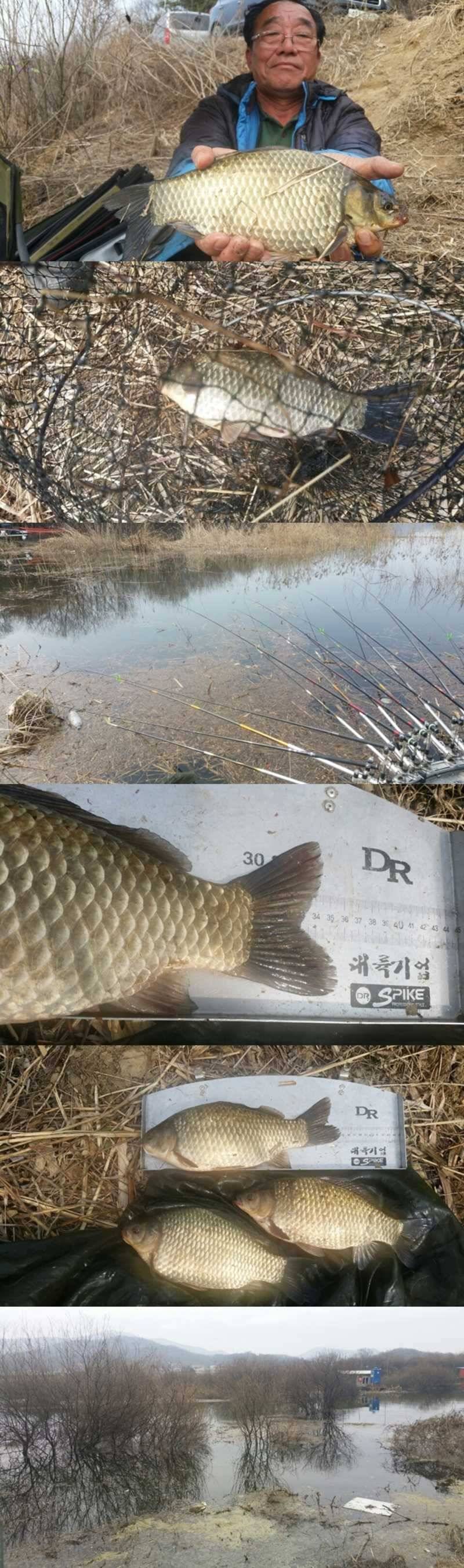 고삼지노지에서 대물들이 쓱 (조황조행기 - 특파원조황)