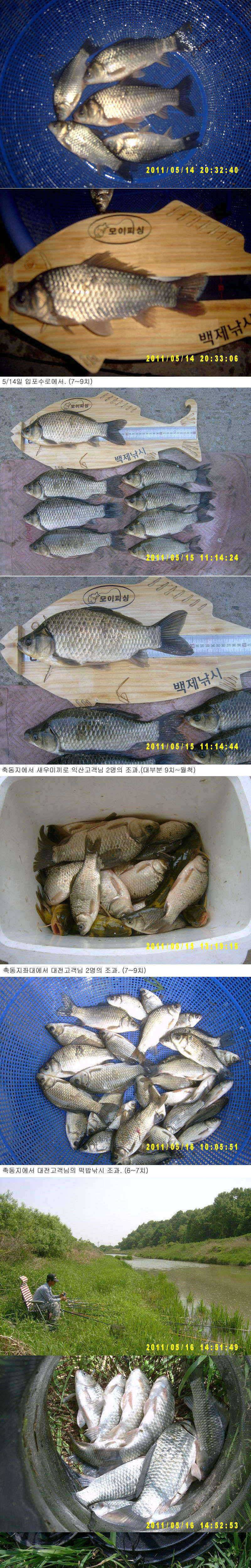 수로권은 아직도 많이 나옵니다 (조황조행기 - 특파원조황)
