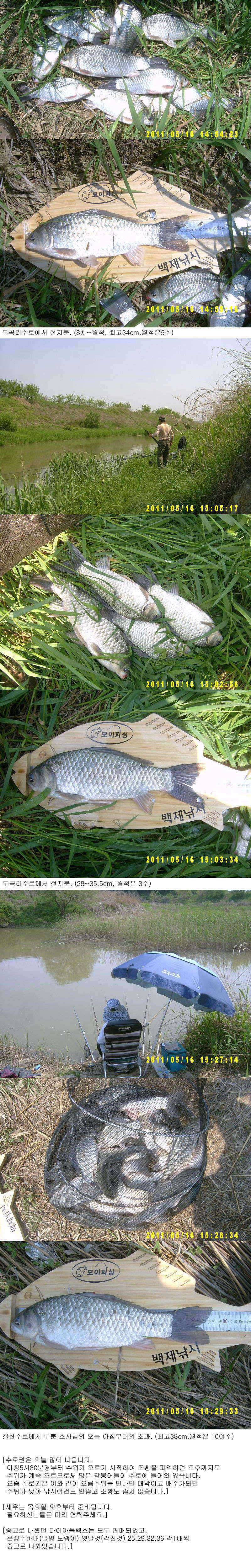 수로권은 아직도 많이 나옵니다 (조황조행기 - 특파원조황)