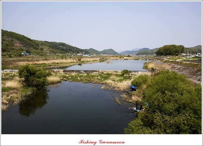 충주괴산권 조황 (조황조행기 - 특파원조황)